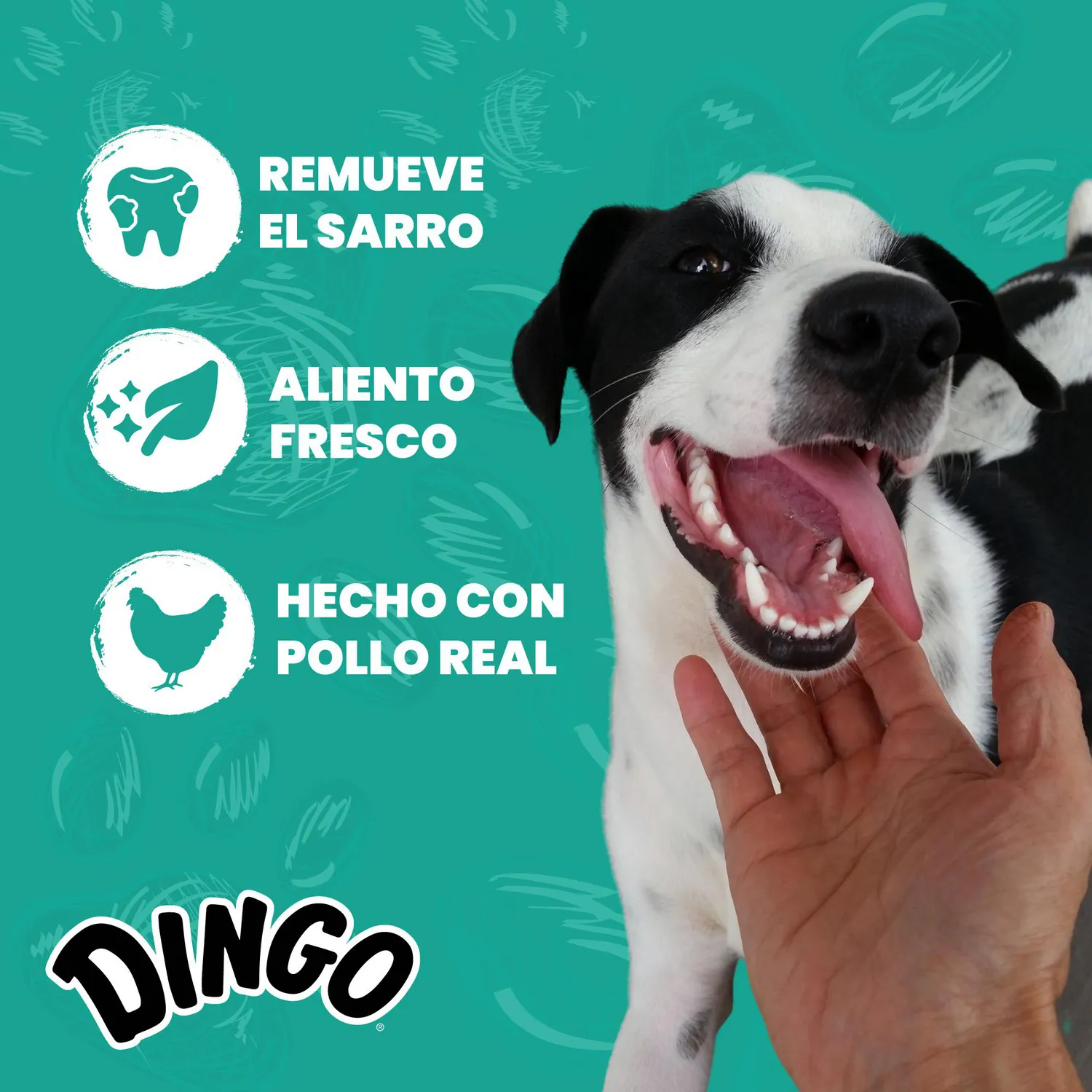 Snacks Para Perro Dingo Dental Stick 48Und 4