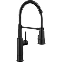 Grifo De Cocina Delta Theodora Estilo Profesional Con Rociador Extraíble