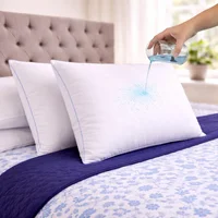 Set x 2 Almohadas Sensación Plumas de Ganzo