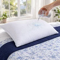Almohada Sensación Plumas de Ganzo