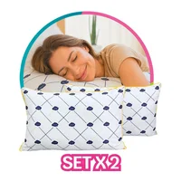 Set X 2 Almohadas Soffia Sensacion Plumas