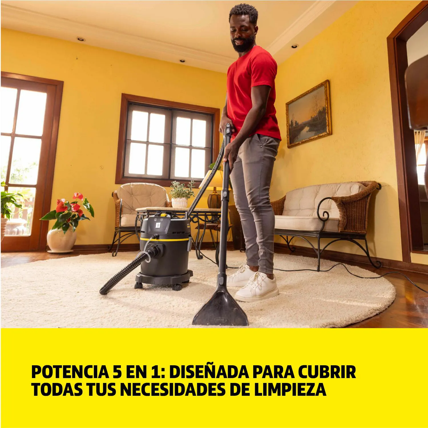 Aspiradora y Limpiador de Muebles 5 En 1 Se4 Karcher 6