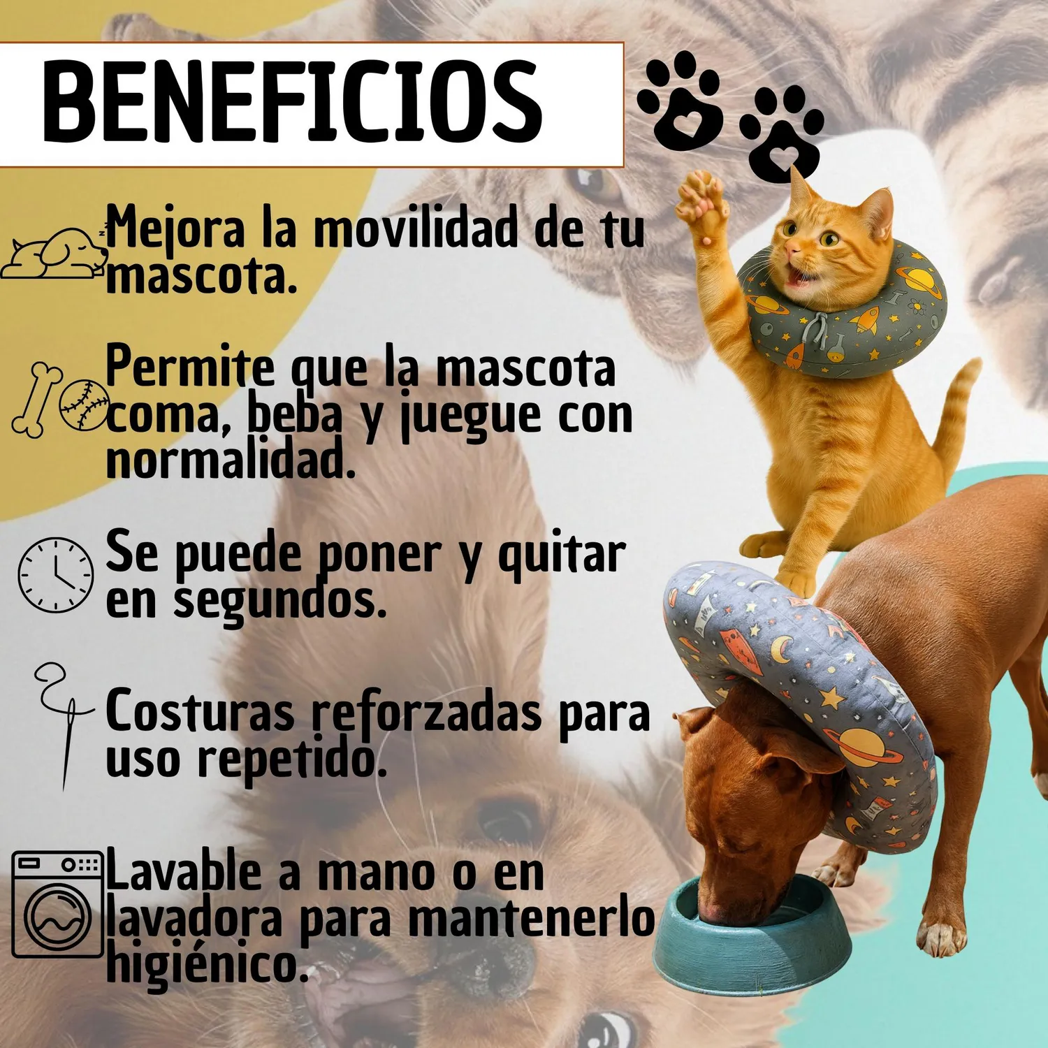 Collar Isabelino Acolchado Antifluido Ajustable Tonos Claros L 7