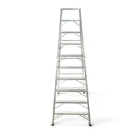 Escalera 10 Pasos 300 cm en Tijera Tipo I en Aluminio Capacidad Carga 150 kg