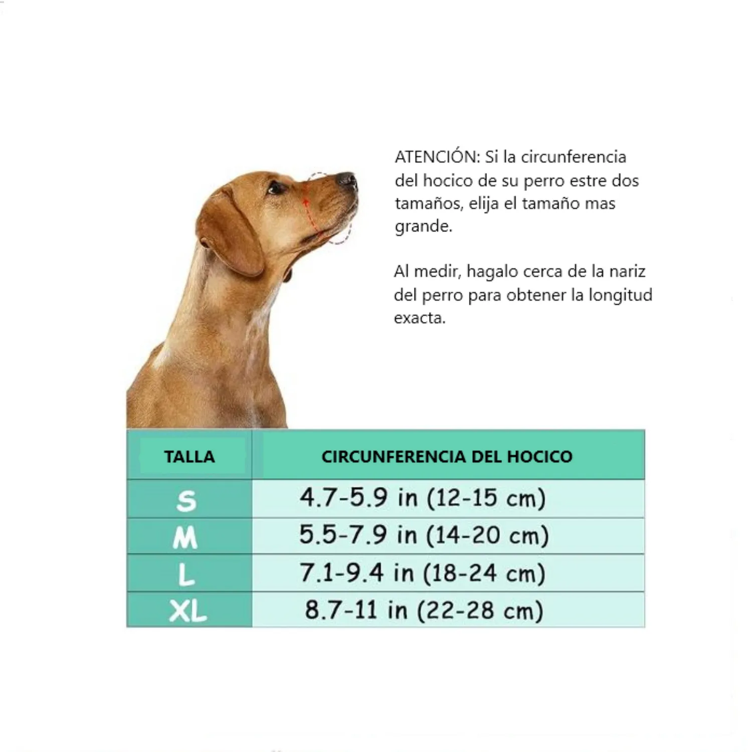 Bozal Dodopet para Perro Talla XL Naranja 5
