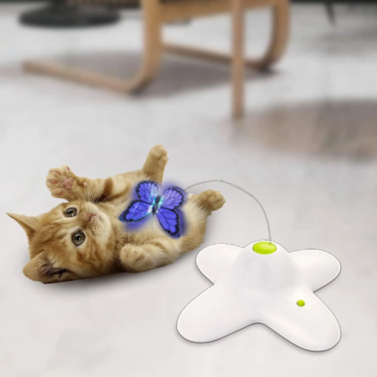 Juguete Interactivo ALL FOR PAWS Para Gatos Con Mariposa Giratoria 8