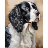 Pintura Acrílica Por Número Diseño Perro Spaniel Para Adultos Principiantes