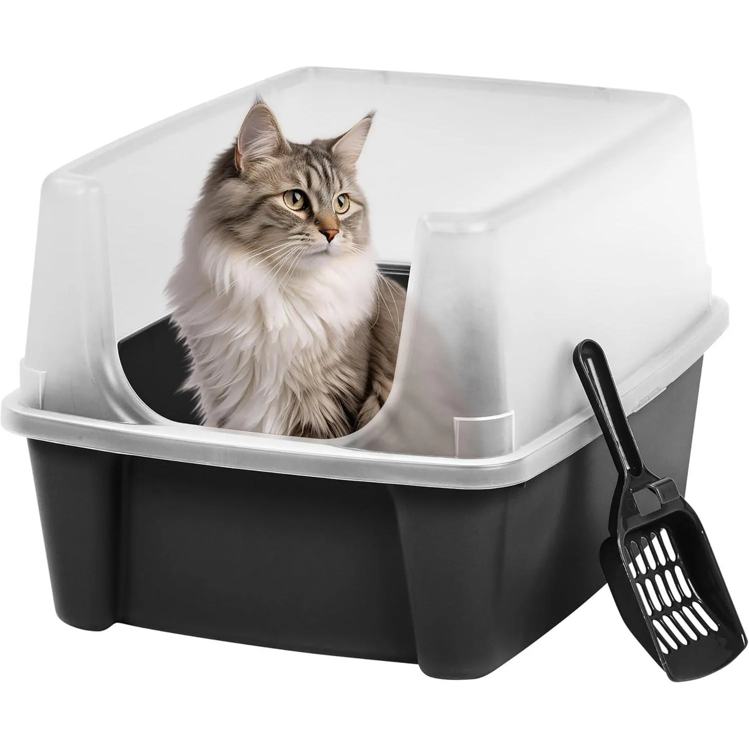 Caja De Arena Para Gato Grande Con Paredes Altas Y Cuchara Incluida 4