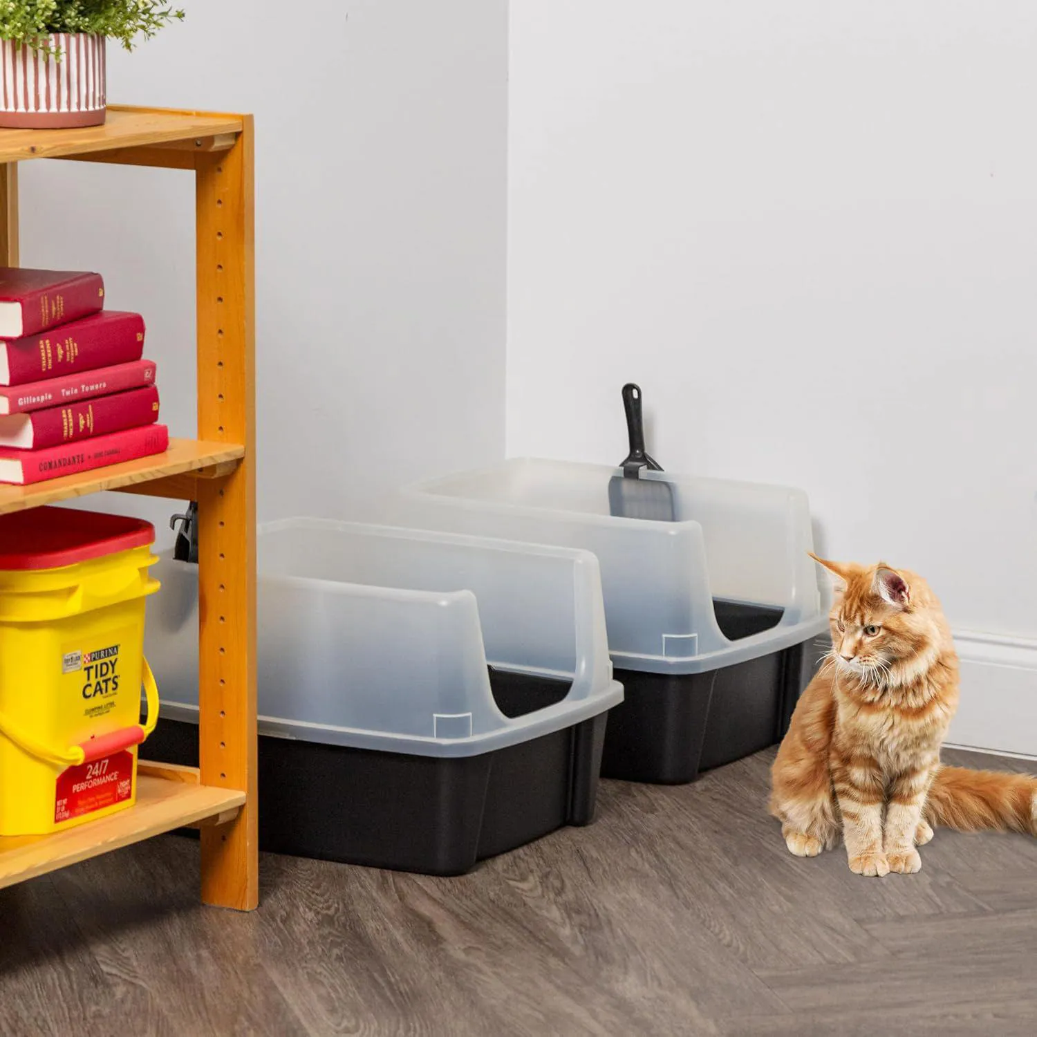 Caja De Arena Para Gato Grande Con Paredes Altas Y Cuchara Incluida 8