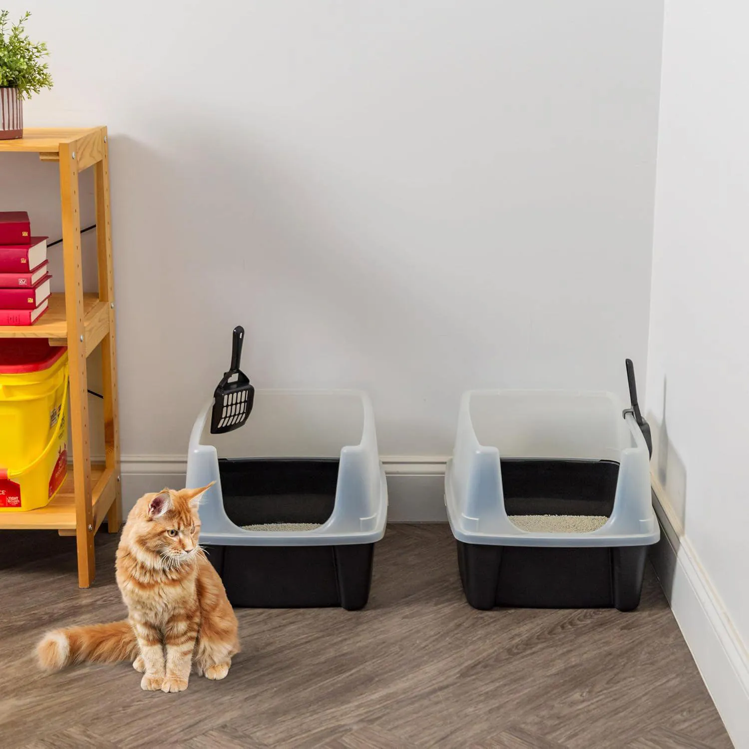 Caja De Arena Para Gato Grande Con Paredes Altas Y Cuchara Incluida 10