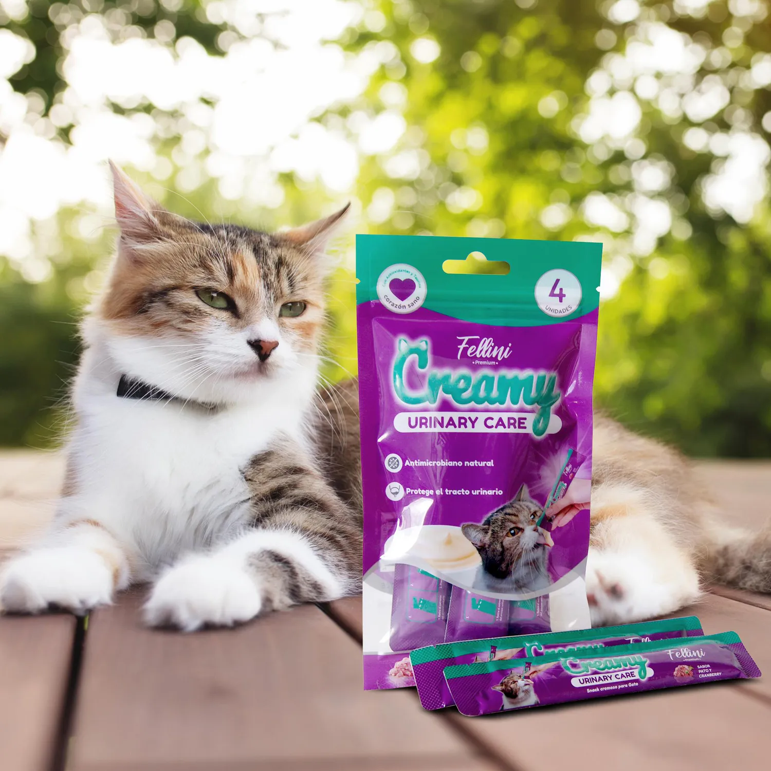 Snack Para Gato Húmedo Creamy Urinary X 4 Unidades 4