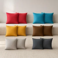 Set X 2 Cojin 45X45 Con Cierre