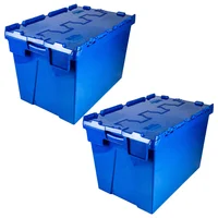 Set X2 Caja Seguridad Plástica 60x40x40 cm Tapa Abisagrada