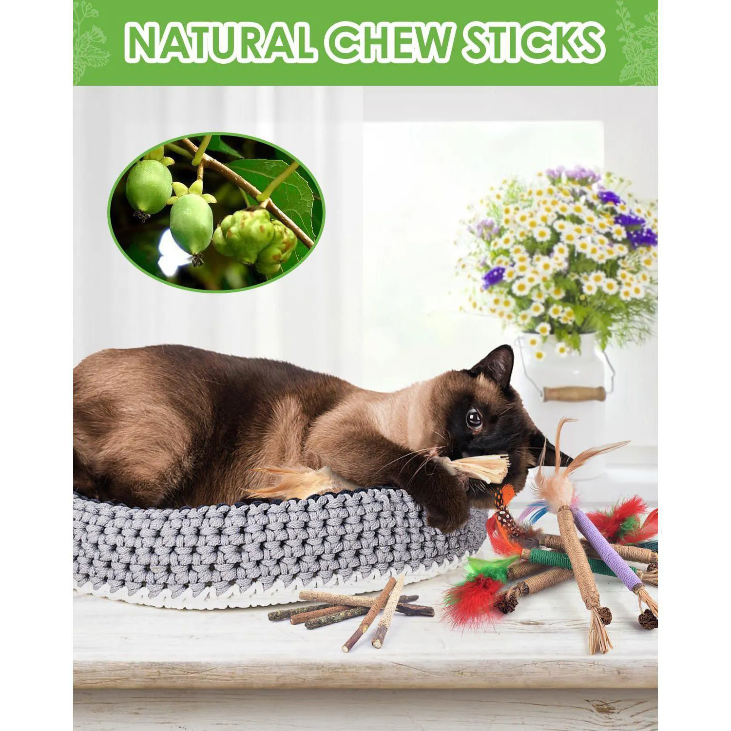 Palitos Masticables Para Gatos Tindtop Silvervine Con Hierba Gatera Natural 6