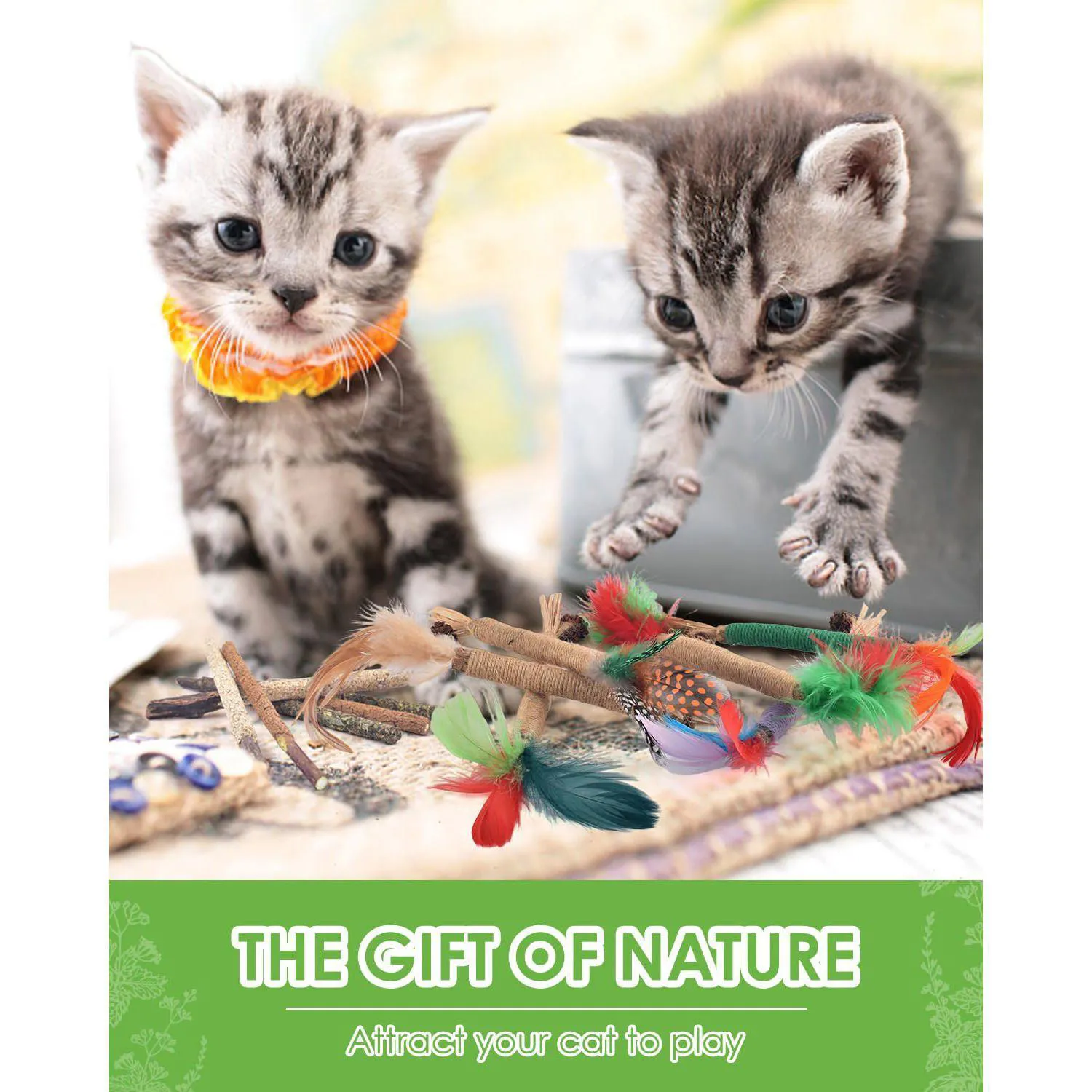 Palitos Masticables Para Gatos Tindtop Silvervine Con Hierba Gatera Natural 7