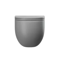Sanitario Loto Gris Mate Consumo 4.8 l/min