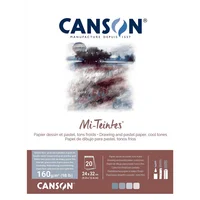 Bitacora Canson Mi-teintes 24x32cm 160g 20h Grise C31032p005