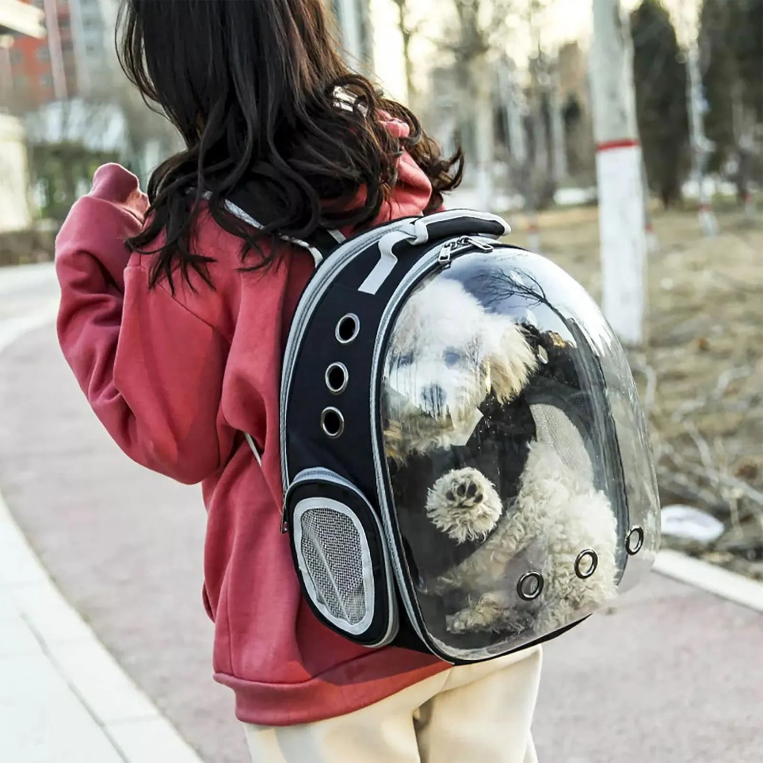 Mochila Transportadora Mascotas Cápsula Burbuja Perro Gato Negro