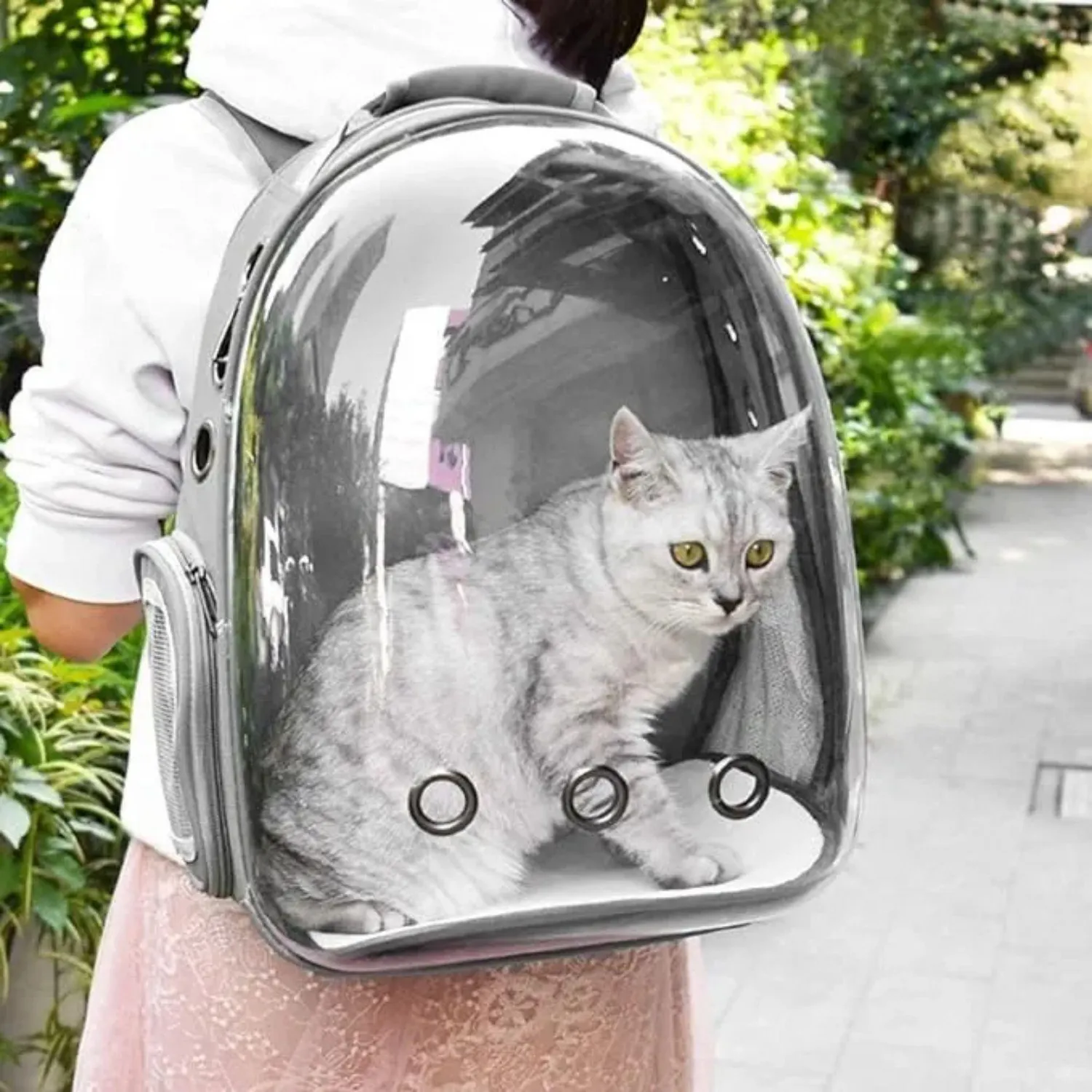 Mochila Transportadora Mascotas Cápsula Burbuja Perro Gato Gris