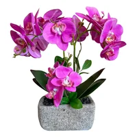 Planta Artificialificial Orquídea Matera Rectangular 36x38 Cm Fucsia Florea