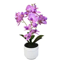 Planta Artificial Orquídea Matera Líneas 41x58 Cm Fucsia Florea