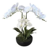 Planta Artificial Orquídea Matera Bowl 46x52 Cm Blanco Florea