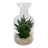 Terrario Botella Con Suculenta 9x18 Cm Multicolor Florea