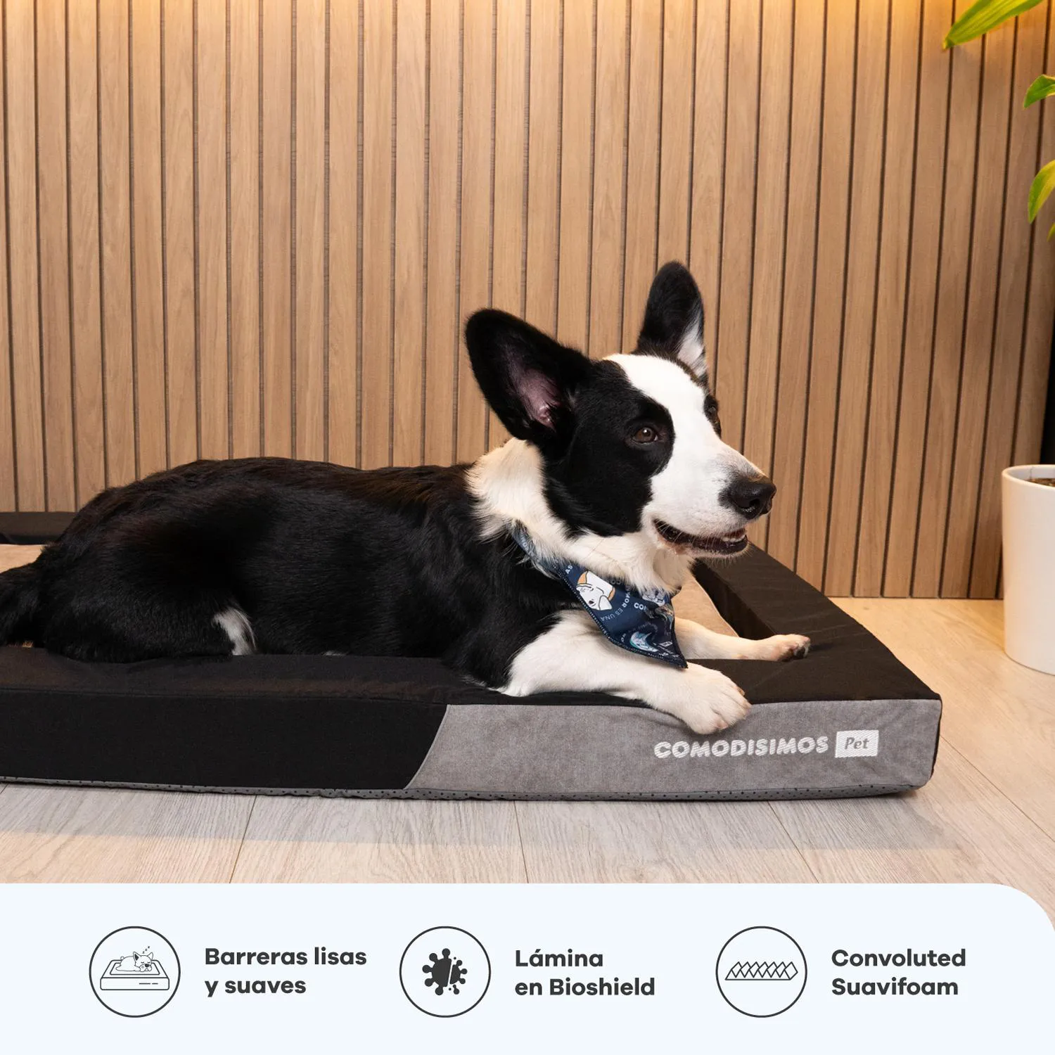 Cama para Perros Cozy Fun Mediana 50x80x8 4