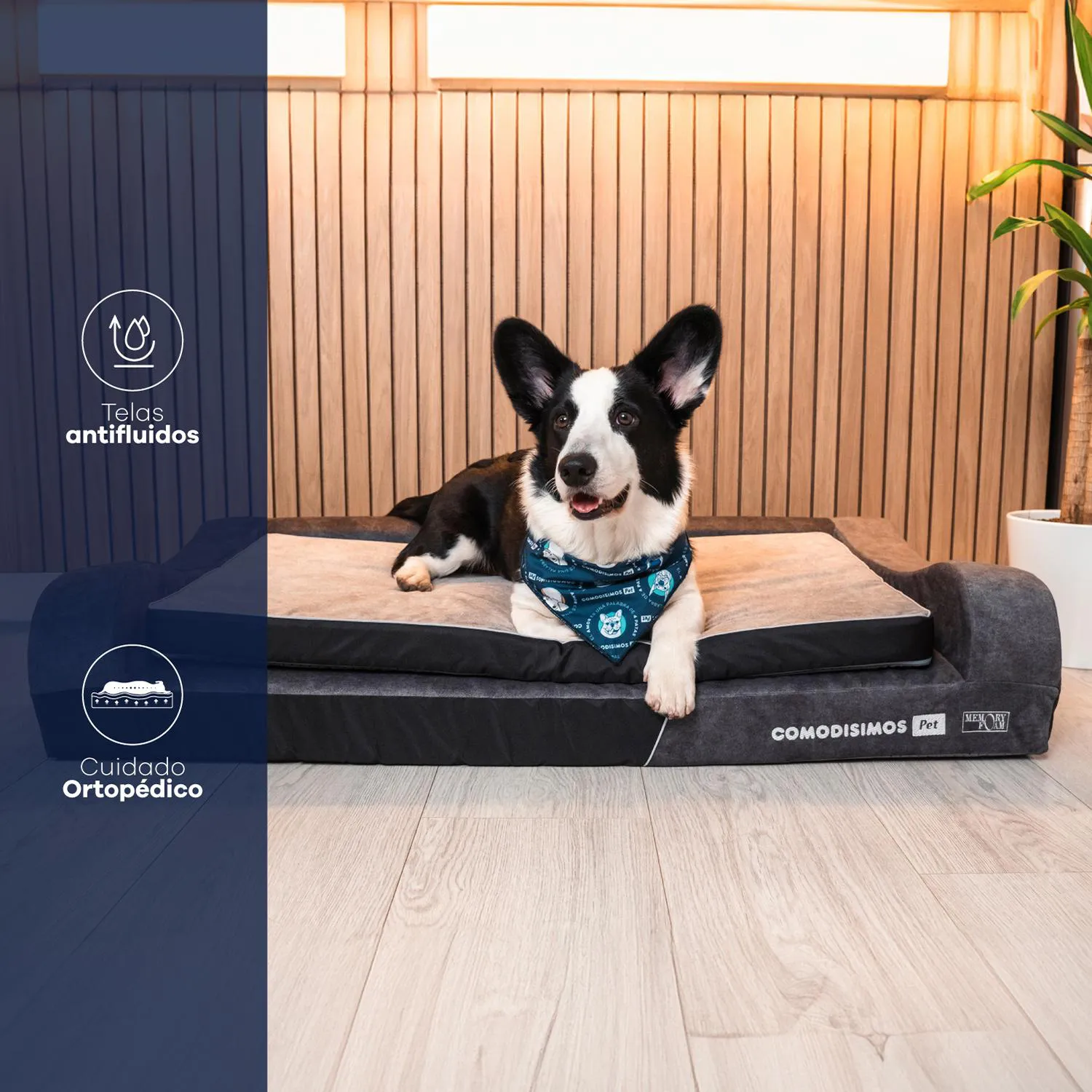 Cama para Perros Cozy Hug Grande 70x110x18