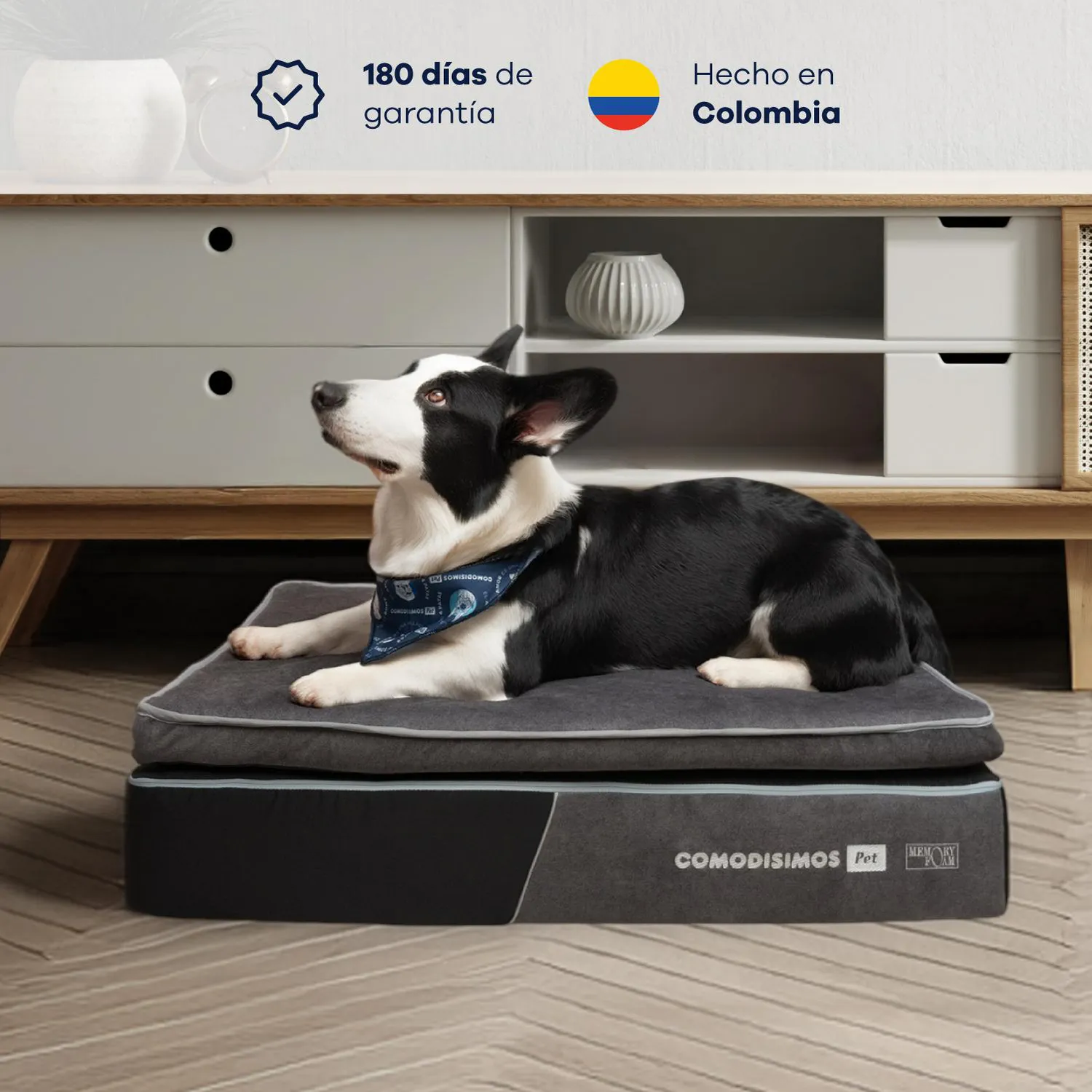 Cama para Perros Cozy Coils Pequeña 40x60x18 3