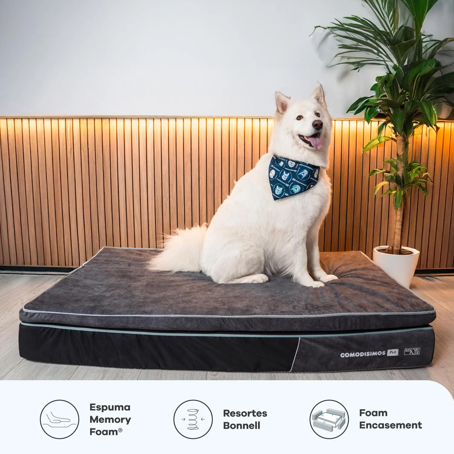 Cama para Perros Cozy Coils Pequeña 40x60x18 4