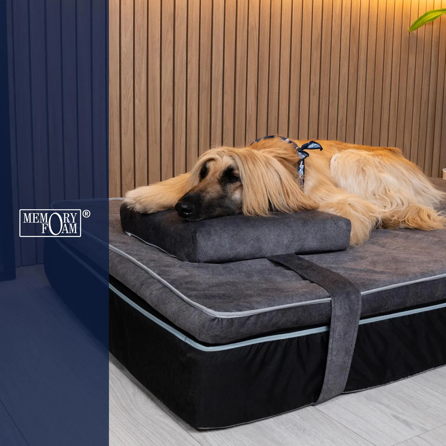 Almohada para Perros Cozy Nap Grande 35x45x8