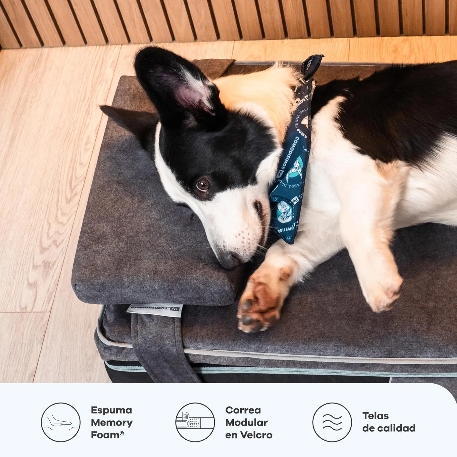 Almohada para Perros Cozy Nap Grande 35x45x8 4