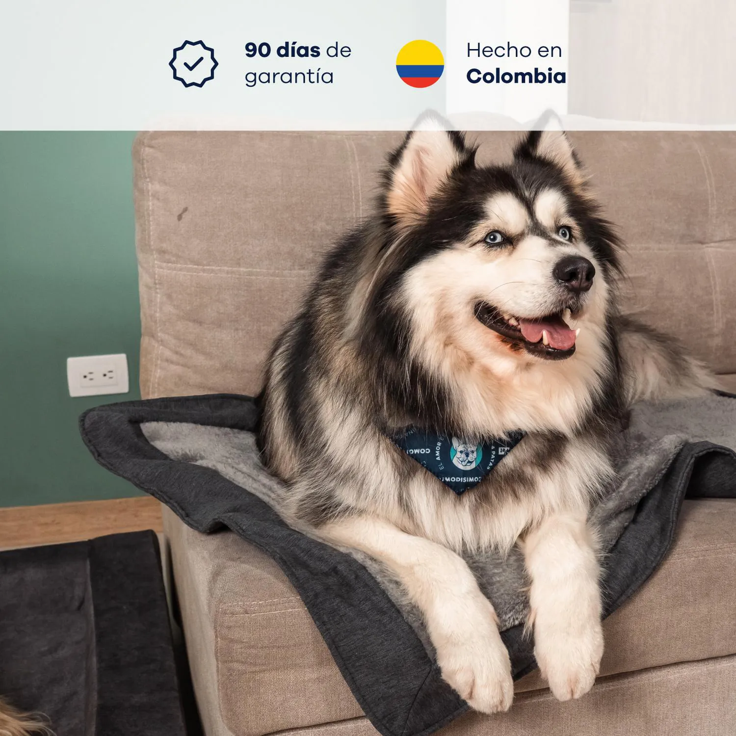 Manta para Perros Calm 90x70 3