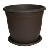 Matera Plastica Genova 40Cm C/Plato Wengue Home Co