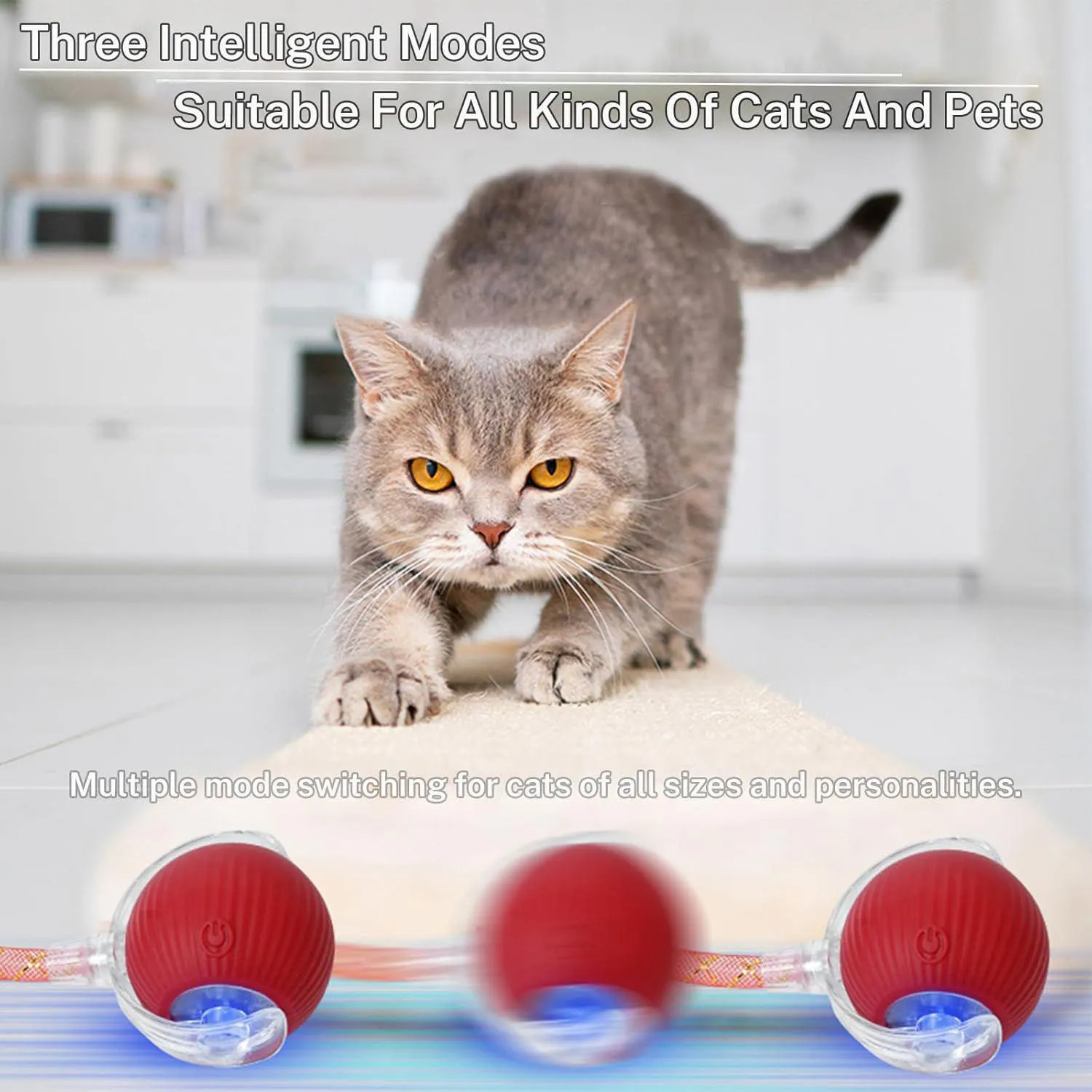 Juguete Interactivo de Bola Inteligente para Gatos con Movimiento Automático 6