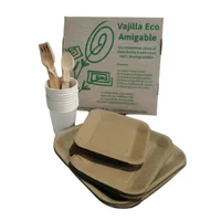 Vajilla Picnic Carton Lifepack