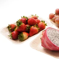 Plato Germinable Mediano Lifepack