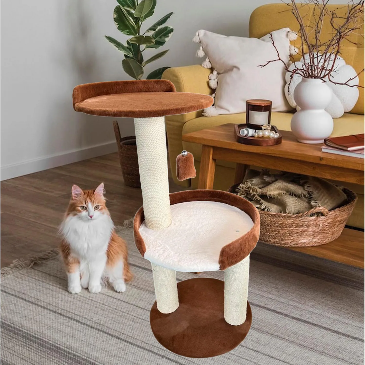 Gimnasio para Gatos Redondo Petizoos