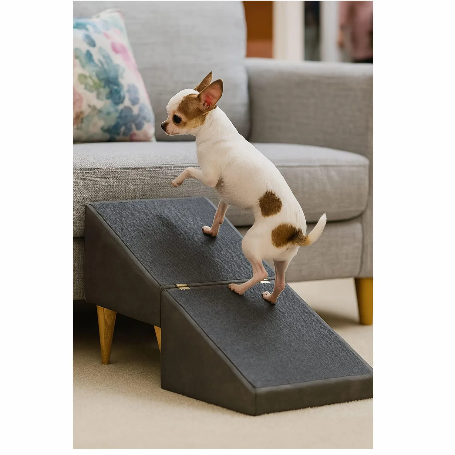 Rampa para Mascotas Doble Proposito Gris