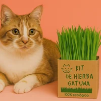 Kit De Hierba Gatuna Meñaww