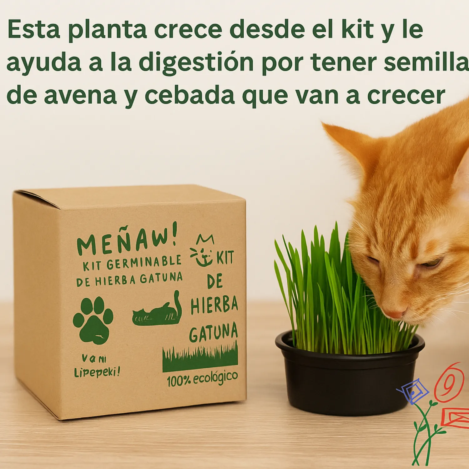 Kit De Hierba Gatuna Meñaww