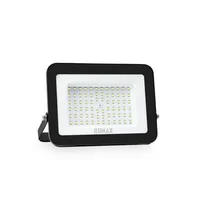 Reflector LED Luz Verde 50w