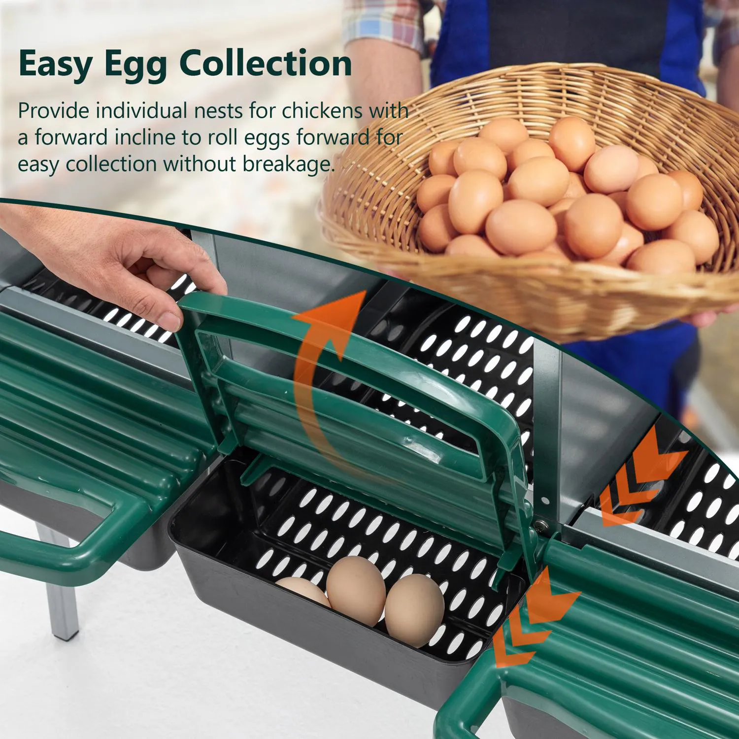 Nido para Gallinas con 3 Huecos, Tapa y Patas, Color Verde 7