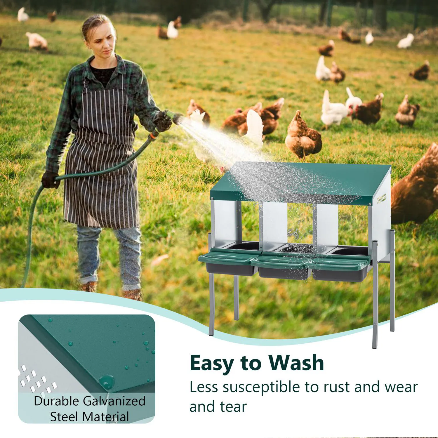 Nido para Gallinas con 3 Huecos, Tapa y Patas, Color Verde 9