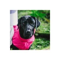 Chaleco Deportivo Impermeable para Perros Pequeños con Abrigo Suave