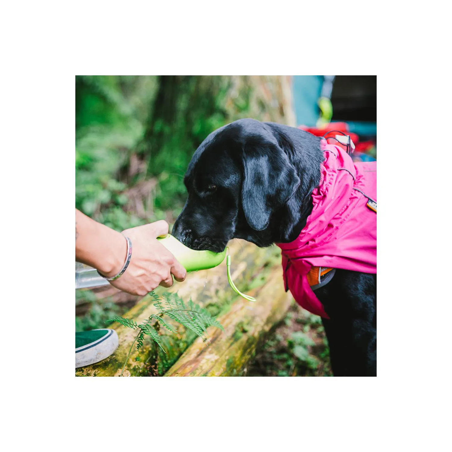 Chaleco Deportivo Impermeable para Perros Pequeños con Abrigo Suave