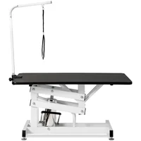 Mesa de Grooming Hidráulica para Perros Z-Lift Grande Heavy Duty