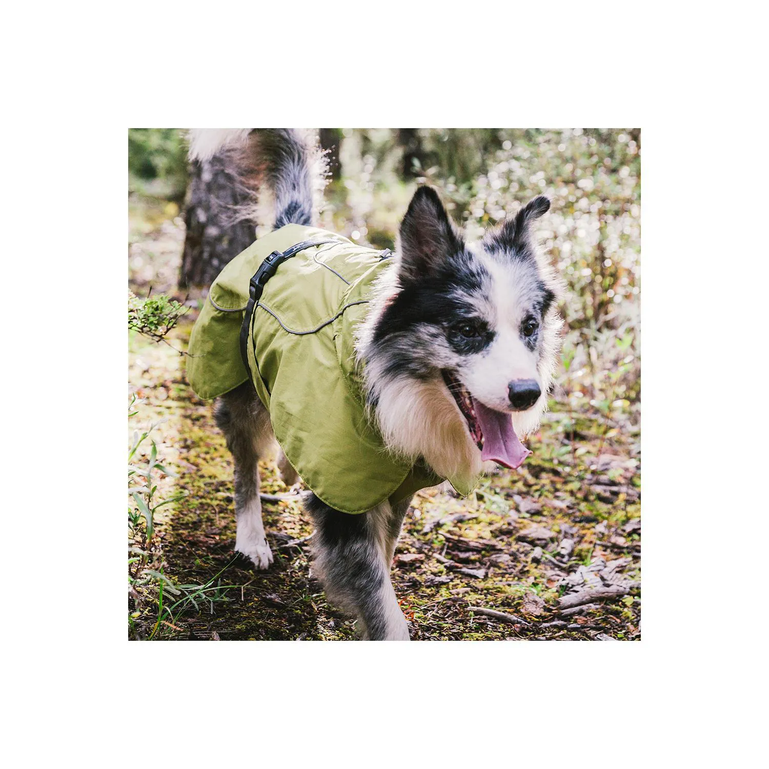 Chaleco Deportivo Impermeable para Perros Pequeños con Ajuste Térmico
