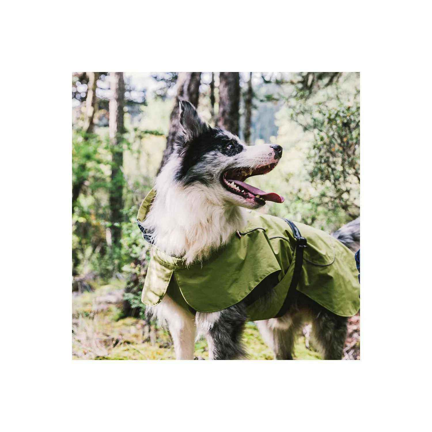Chaleco Deportivo Impermeable para Perros Pequeños con Ajuste Térmico 3